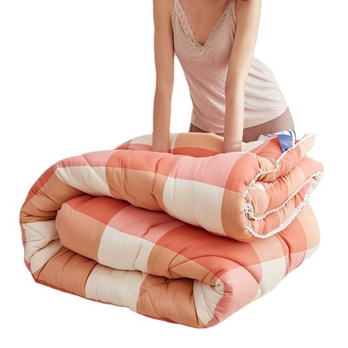 New Washable Cotton Quilt Winter Thick Warm Blanket Core Single Double Quilt Spring and Autumn Seasonal Gift Blanket Wholesale