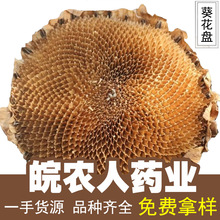 PտPɱPѱPɹӻPșĴȫll