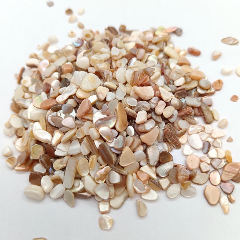 500g Shell Crushed Stone Coarse Throwing Treatment of terrazzo Floor Aggregate Decorating Shell Original Pieces with Shell Fragments