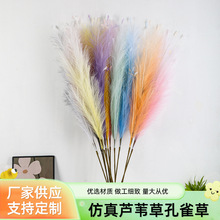 12���L֦�����JȔ�ݎ���ȸ�ݸߙn�[�������k���b�ɫ�����JȔ