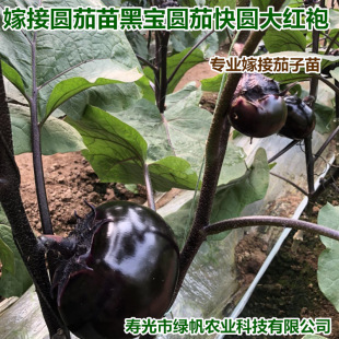 �����޽������� �A���� �ڌ� ��A��t�������ڈA���� �۹�����S