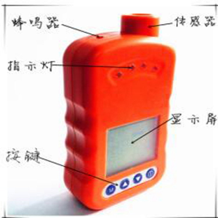便携式气体检测仪（) 型号:LM12-GC10 库号：M199817