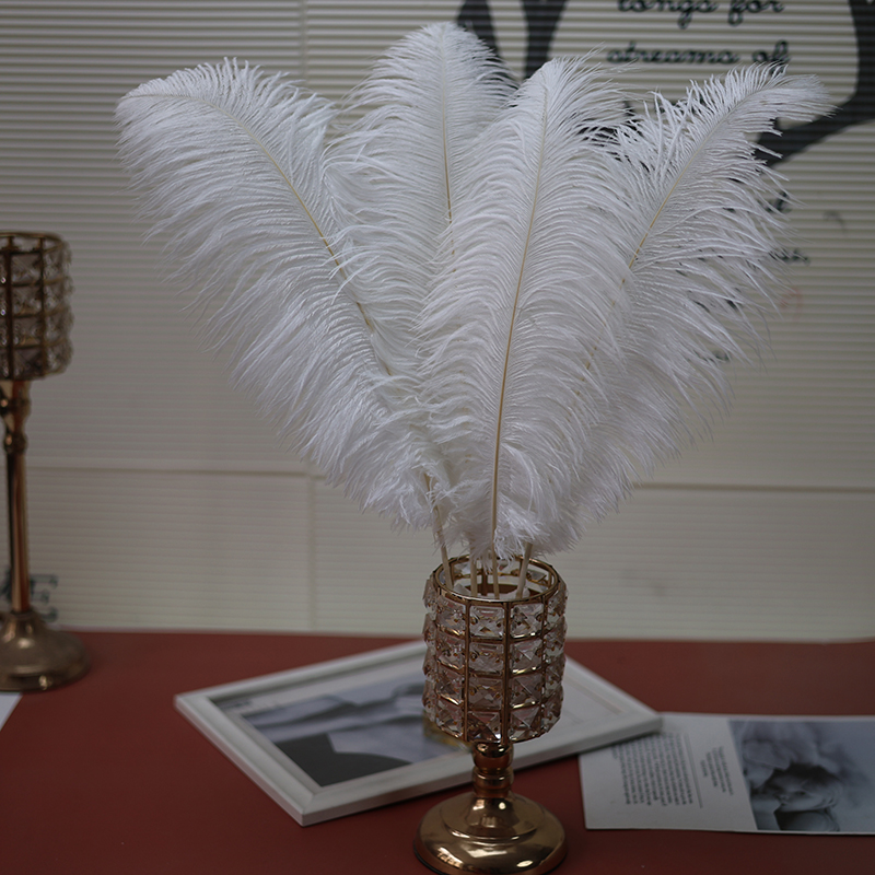 Plumas de avestruz bodas blancas de avestruz guía de plumas accesorios de fotos adornos rojo rosado en línea grandes plumas decoración