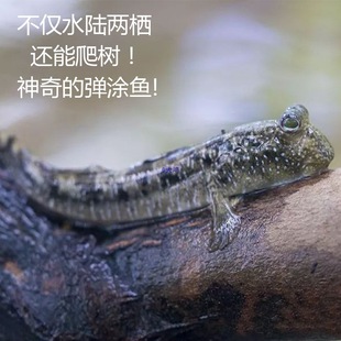 �����~����T�~�t����ˮ�~�^�p�~��ˮ�~���T�~�Ȍ����B�׻���p