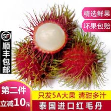 順豐包郵 泰國紅毛丹5斤毛荔枝新鮮毛丹稀有熱帶水果毛丹果