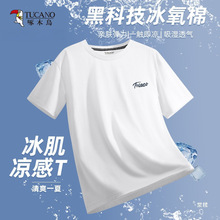 ��ľ�B���z����t�����ļ�2026�¿��\�ӽ���������ʿ�����ٸ��·�Y