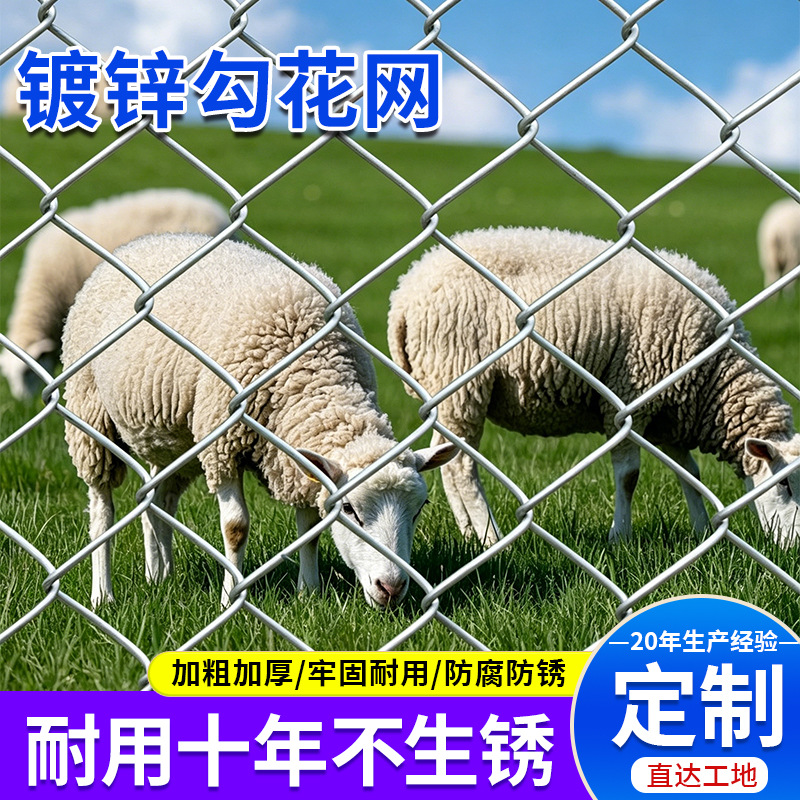包塑菱形勾花网热镀锌铁丝围网养殖圈地围栏网边坡支护矿用防护网