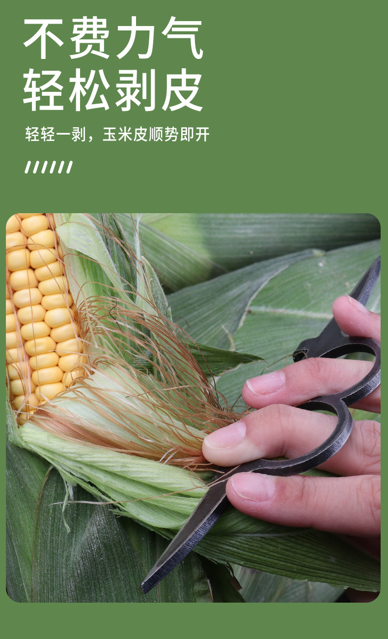 剥玉米_07.jpg