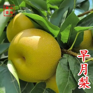 ���������硿������������������7����Ʒ�N�޽��������ɽ���