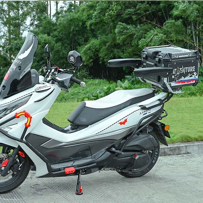 Seat Armrest Foldable Rally: Motorcycle tail