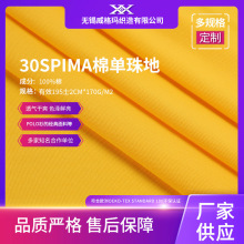 Դ�^���S30Sƥ�R��PIMA�M���L�q�ކ���ؾW��170G �ļ��߶�POLO��