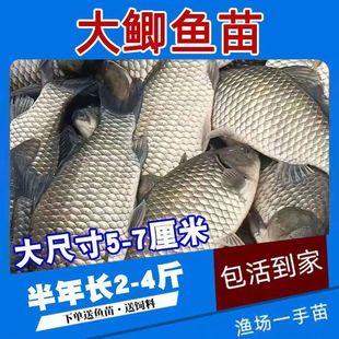 �����п���̖�a�~�繤���a�~��ˮ�Bֳ���~�����~�������������r