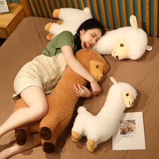 ����С��ë�q�����񄹫�пɐ������޲�ż���Ⱨ��Ů����ͯ�Y��