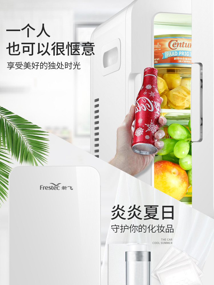 Mini Car Refrigerator 8L Beauty and Skincare Portable Cooler