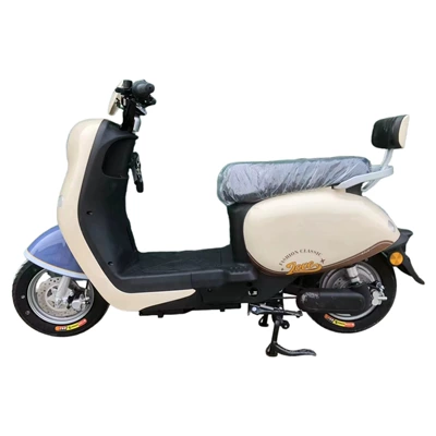 Auto Parts and Accessories — Dingzhi Customizable Electric Motorcycle