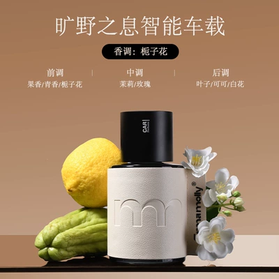 Car Perfume Aromatherapy Machine Car Perfume Car Interior - breath-of-the-wild-smart-car-fragrance-diffuser-white-tea-small-shopping-bag