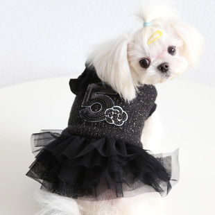 Petstyle�ﶬ�¿� 5̖�p�����YС����ȹ  ̩�ό��ﹷ���·�