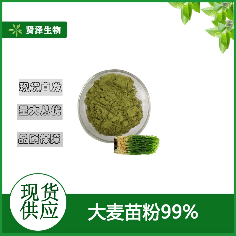 大麦苗粉 麦绿素  麦苗粉 麦苗粉 1千克起批  贤泽生物 现货供应