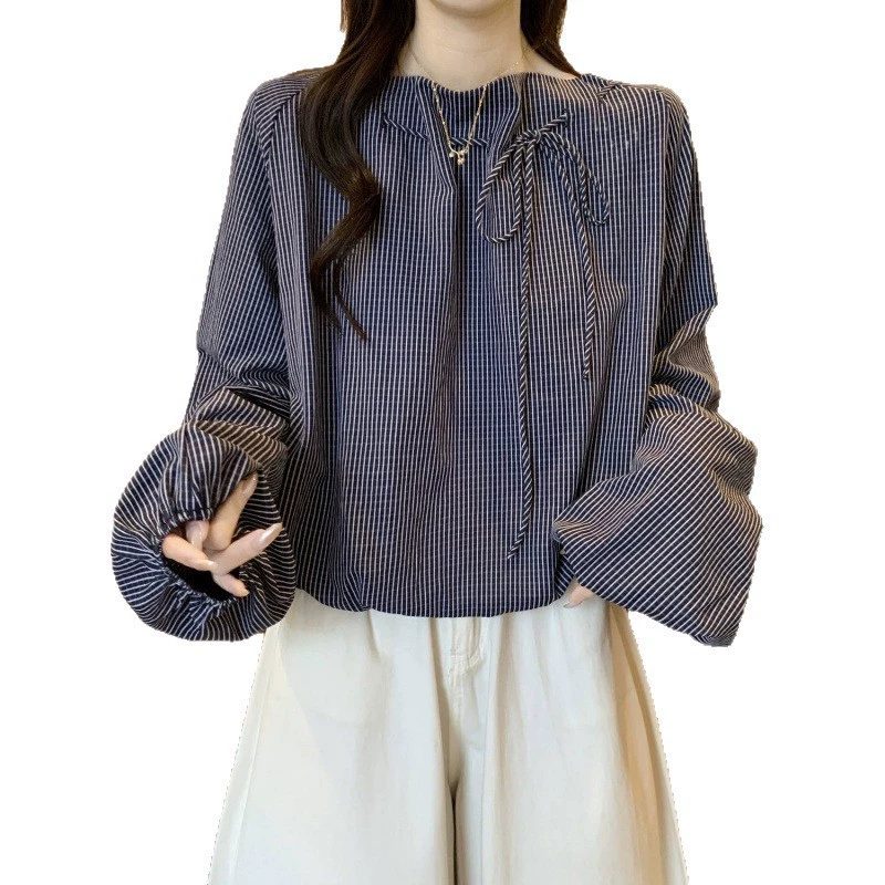 Autumn shirt, plus size