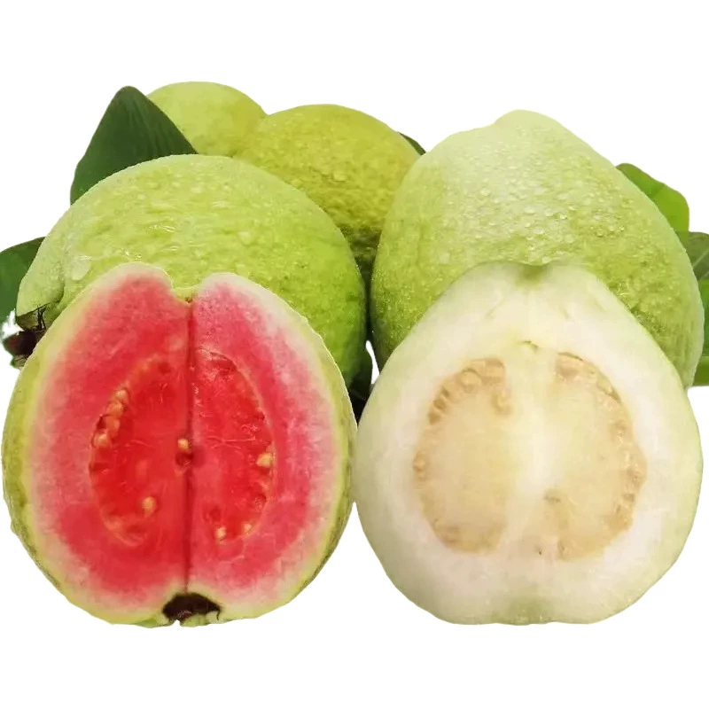 Фуцзянь Гуанси Гуандун красная и белая гуава красное сердце белое сердце гуава куриный помет фрукт гуава цельный дропшиппинг