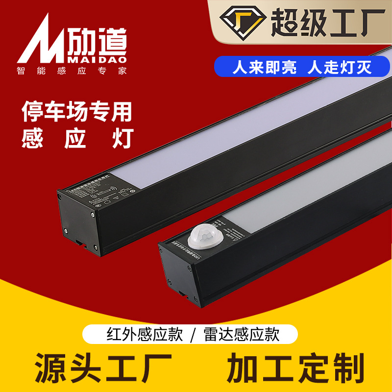 Induction linear light