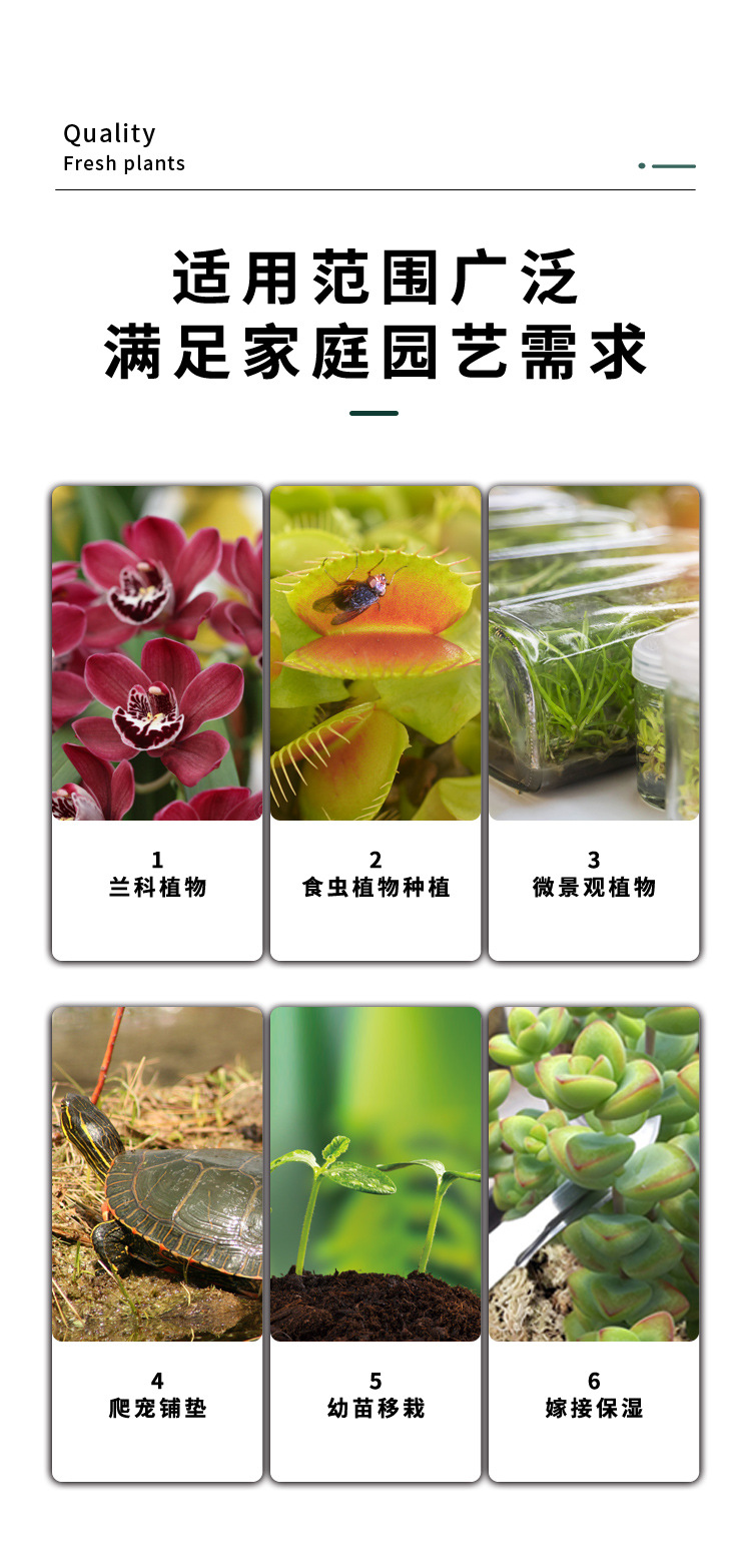 详情_06.jpg