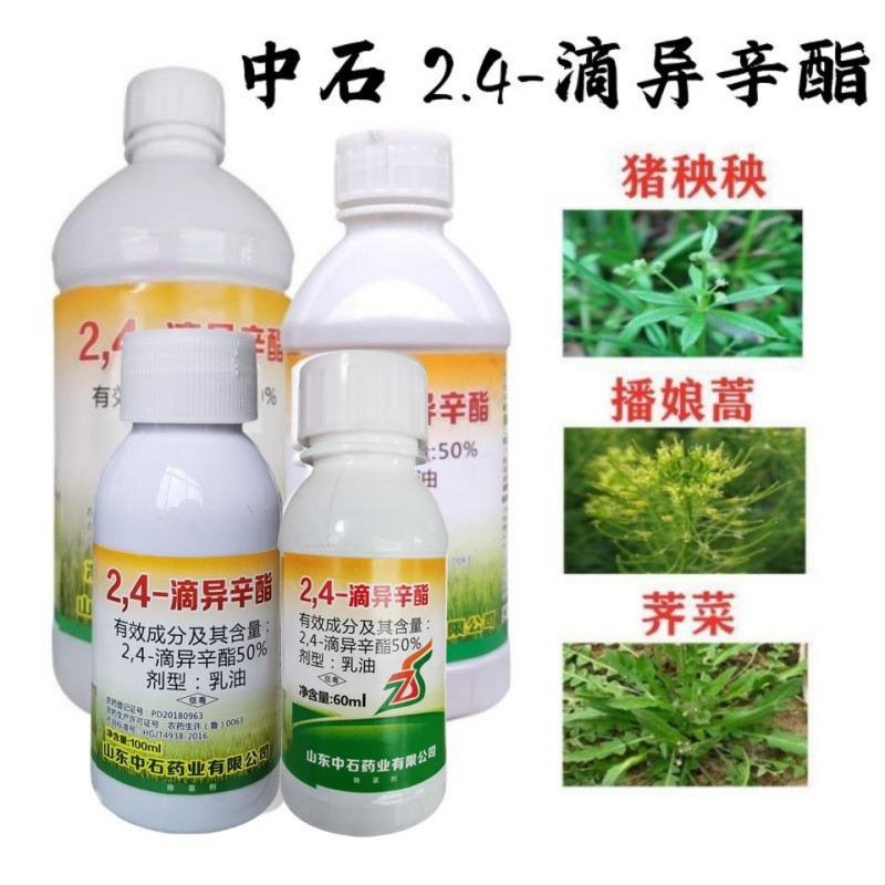 中石2.4滴异辛酯除草剂农药小麦玉米阔叶除草剂2.4D荠菜猪秧秧