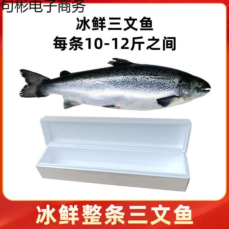 Whole Chilled Norwegian Salmon, 6kg Sashimi Pieces, Atlantic Salmon, Ready-To-Eat Seafood Wholesale