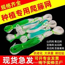 ֲ�����پW �r�È@ˇ�W �z���S�ϾWɽș���ǾW�羳���W�߲˷Nֲ�W