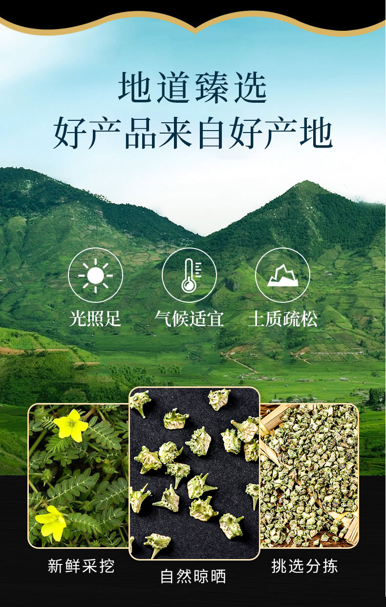 Ji Li Powder & Fruit (Tribulus terrestris) — Dried Food Herb, Stir-Fried or Raw overview
