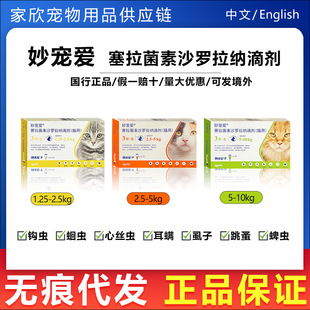 ���؈���w������x�󌙐���������؈��؈��xș���\�������x