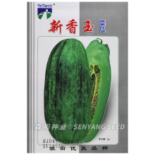 ������˹����Ӵ������ˮ������ѳ����ڽ�ɳ�Ͻ�Ʒ�������ȿ��