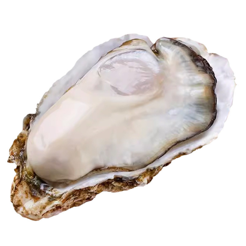 18K金轻奢项饰