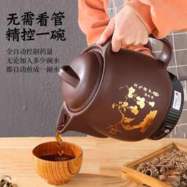 全自动电煎药壶煎锅熬药砂锅煲壶熬药壶药罐家用熬药