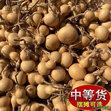 С���Jһ��؛Դ�����^��Ȼ����С����������ؔ����湩��