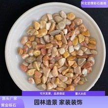 厂家批发黄金石 砾石 园林造景家装装饰造景装饰用黄金石