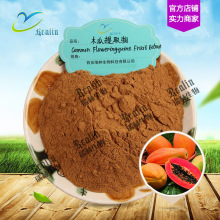 木瓜提取物  木瓜粉  番木瓜提取物   棕色粉末 水溶 现货