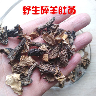 ���܌��ݡ������Ǿ�����Ǿ���؛�ƓpҰ�����Ҝ��خa50�˰��]��