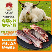 �[����ף�ך�ţ������4���ຣ�����u�u������r��������l����