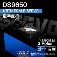 pܔֶC DS9650, 1/5th scale servo, 202g, 50kg