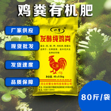 �뷱�u�S�ЙC�� �l�ͼ��u�S�����ЙC�� �����r�����r������ЙC
