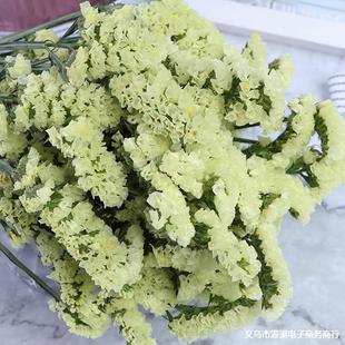 ��������ҷQ���r���ɲ廨չ���[ �ؔ� ˮ���� ���˲�200��һ��