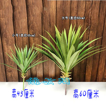 ���������m�J�C��Ƥ�m��̖����Gֲ�ʹ��m���m�����������