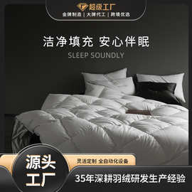 高奢高端90白鹅绒超厚保暖羽绒被柔赛丝零压舒睡锁温被芯批发