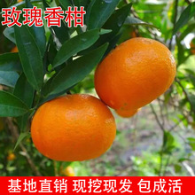 õ����� �޽Ӹ��٘��� �̽�����Ә���õ��������箔��Y�����]
