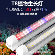 T8ȫ���Vֲ���LED�҃�����M��ֲ�����L�����Ҵ�������a���