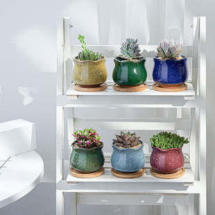 ������ѻ��������k����С���聆�R�d����M��С���²�ɫ�մɻ���