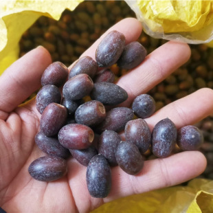 �����1�� ����Ӹɹ��� diy�ֹ��}�Q���٭h�b� ���껨ˇ�[��