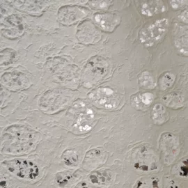 特种纸;鲜花包装;宣纸