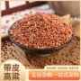 东北酿酒带皮原料鸽粮